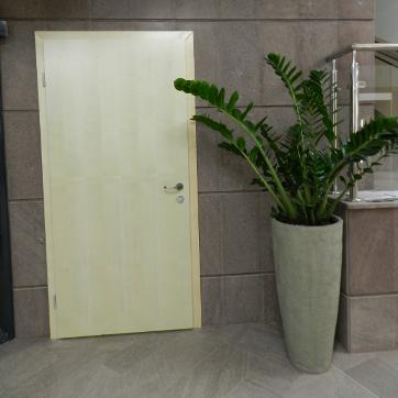 Ferestre si usi din lemn stratificat